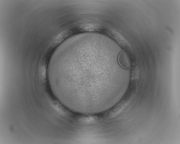 X0000115580646200911241513