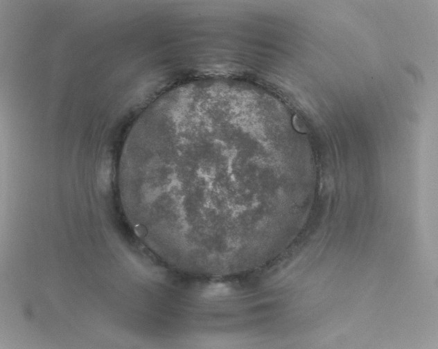 X0000115580647200911241513