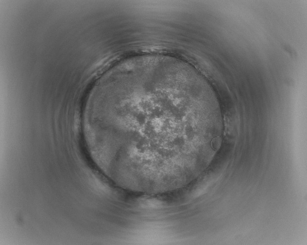 X0000115580648200911241513