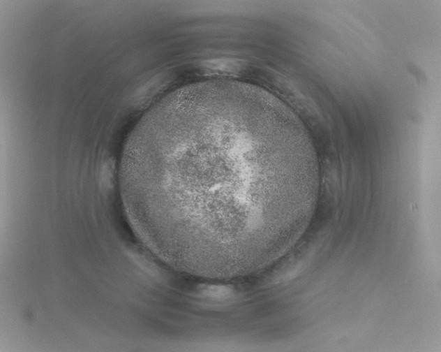 X0000115580649200911241513