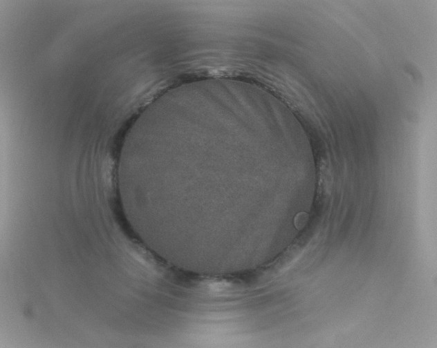 X0000115580650200911241513