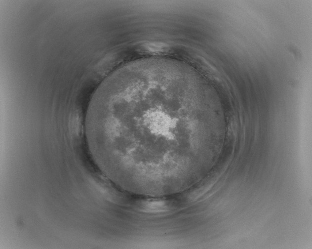 X0000115580651200911241513