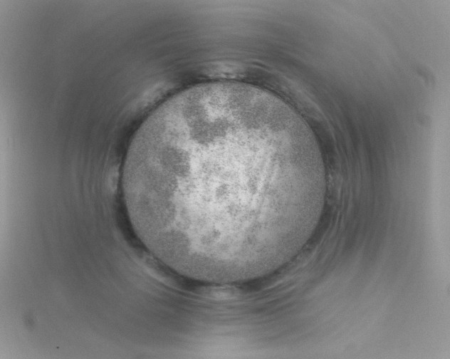 X0000115580652200911241513