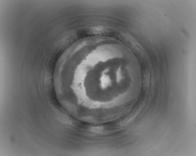 X0000115580653200911241514