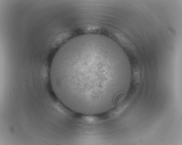 X0000115580654200911241514