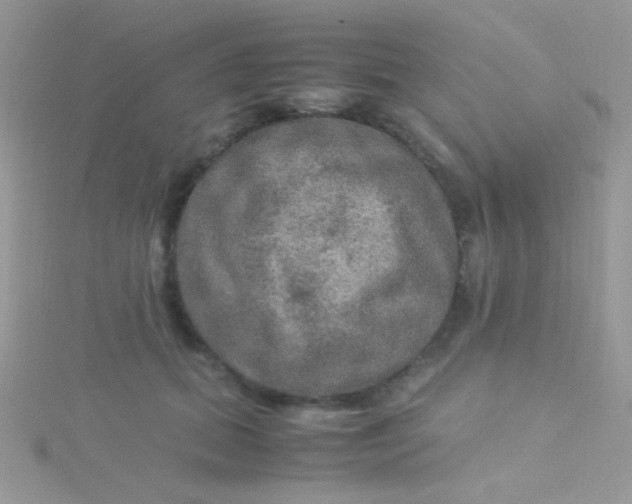 X0000115580655200911241514