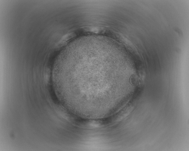 X0000115580656200911241514