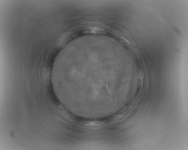 X0000115580657200911241514