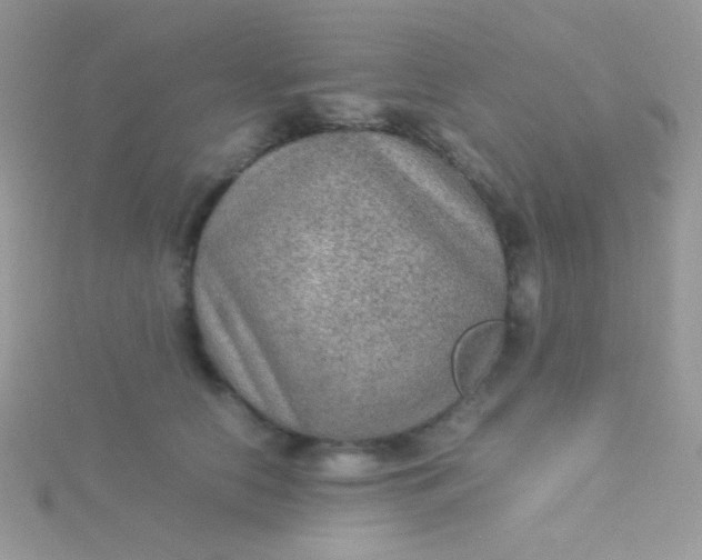 X0000115580658200911241514