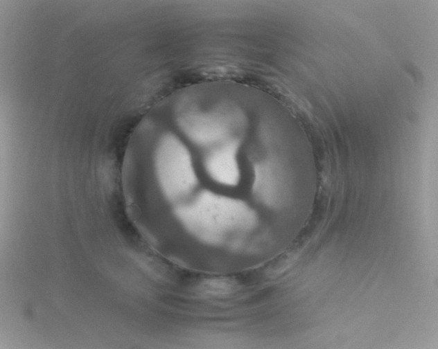 X0000115580659200911241514