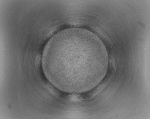 X0000115580660200911241514