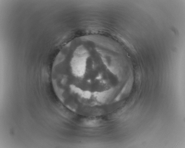 X0000115580661200911241514