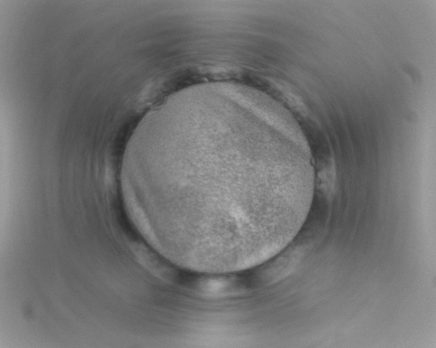 X0000115580662200911241514