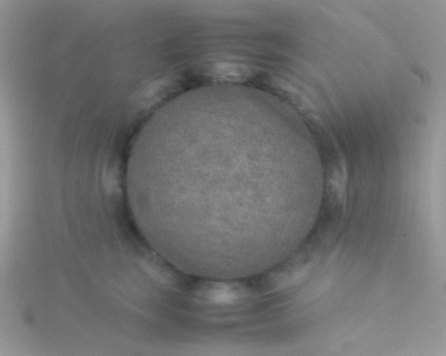 X0000115580663200911241514