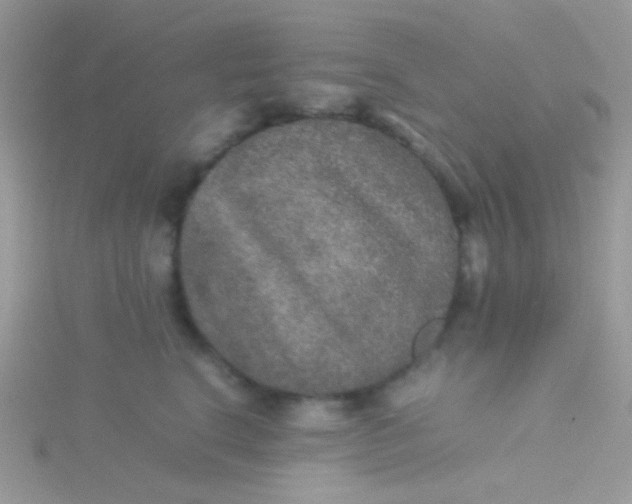 X0000115580664200911241514