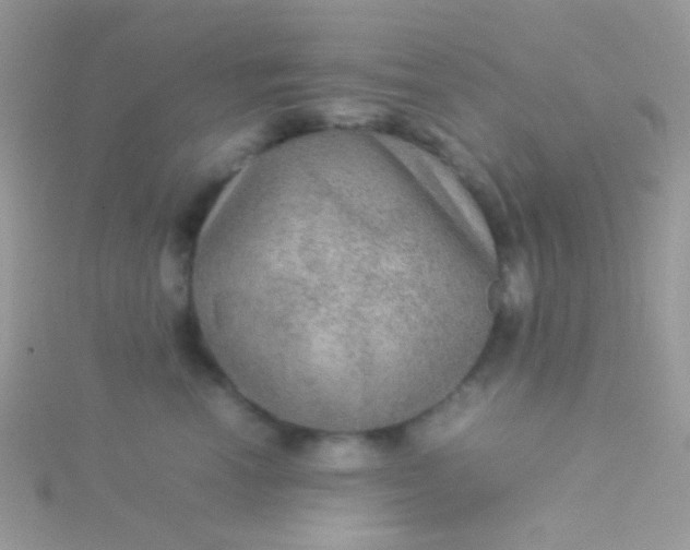 X0000115580666200911241514