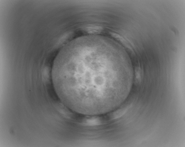 X0000115580667200911241514