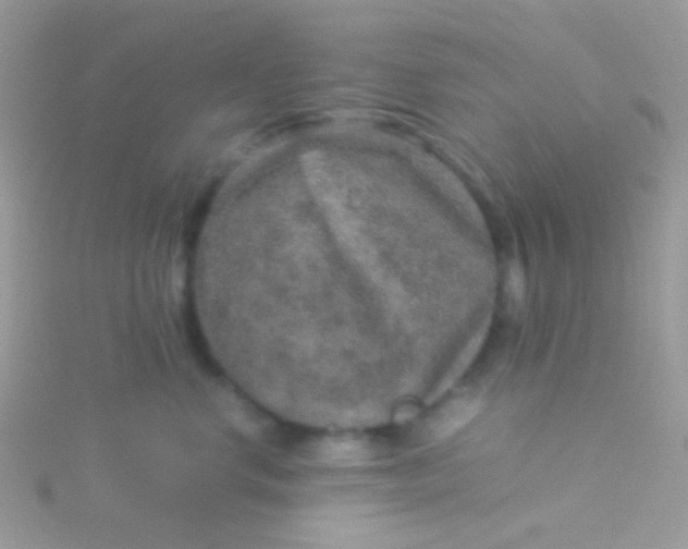 X0000115580668200911241514