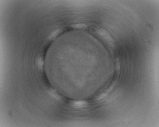 X0000115580669200911241514