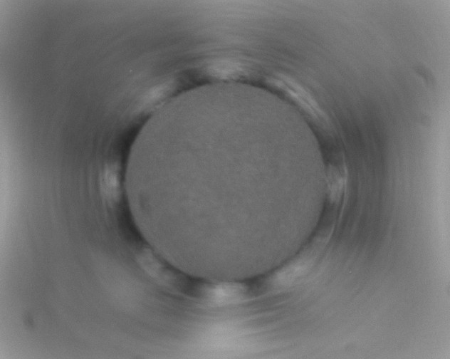 X0000115580670200911241514