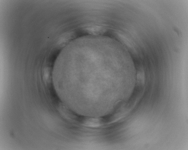 X0000115580671200911241514