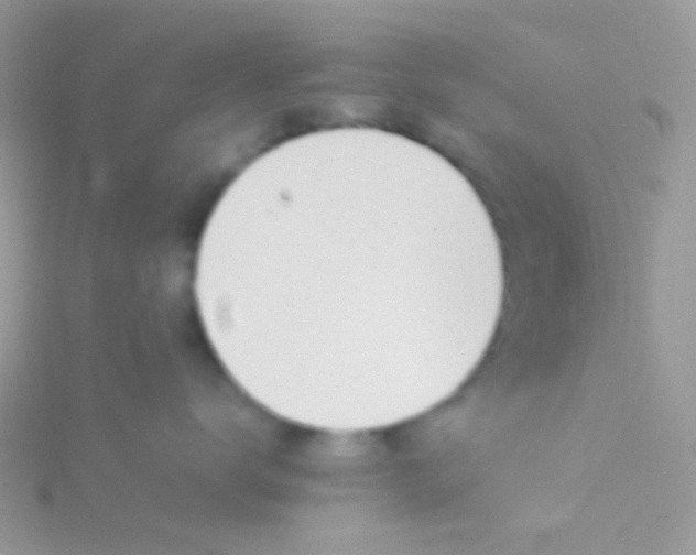 X0000115580672200911241514