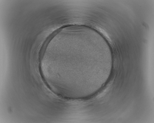 X0000115580673200911241513