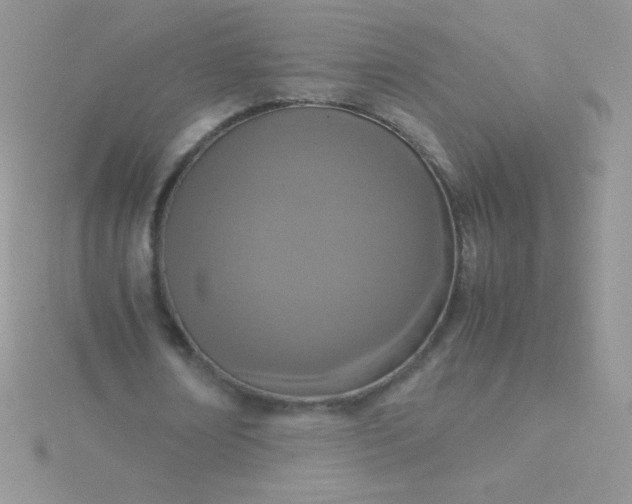 X0000115580674200911241513