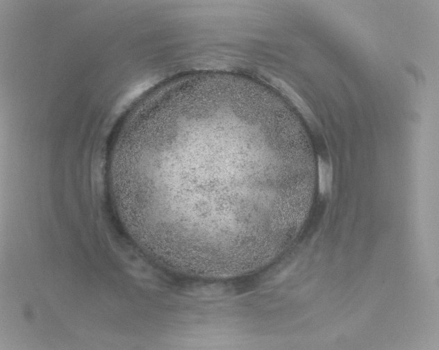 X0000115580675200911241513