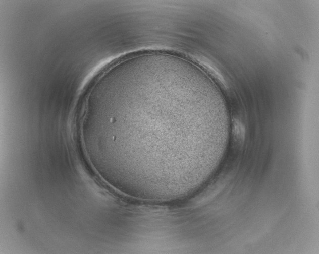 X0000115580676200911241513