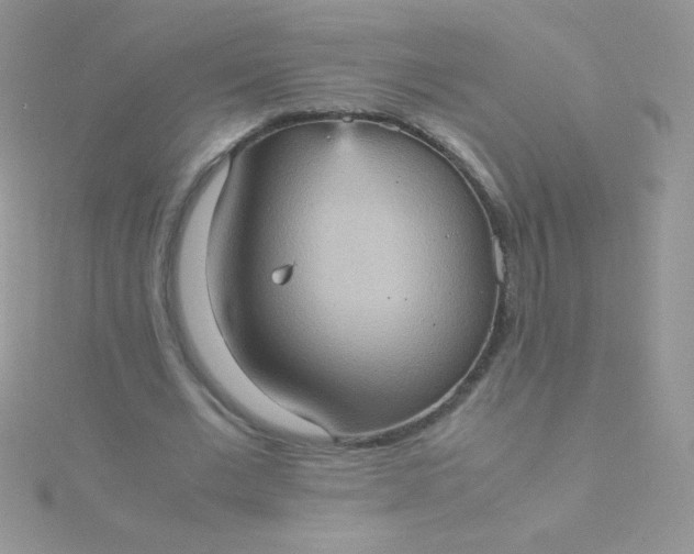 X0000115580677200911241513