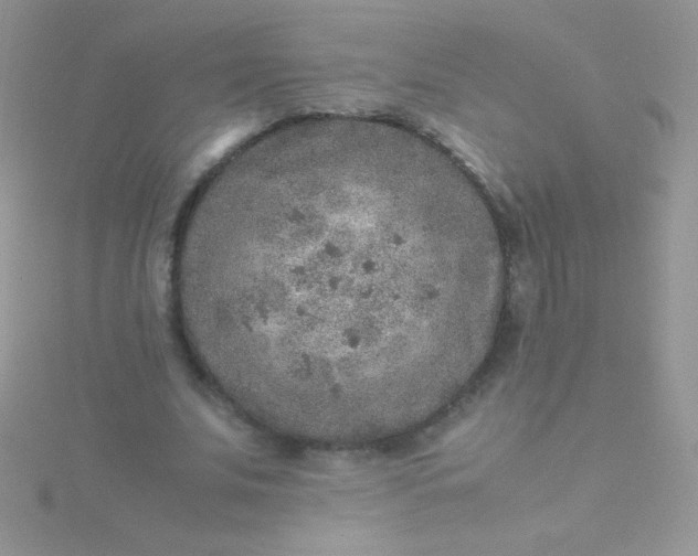 X0000115580679200911241513