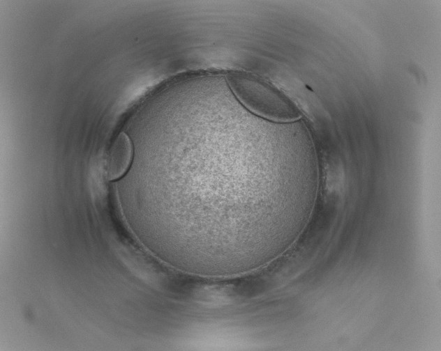 X0000115580680200911241513