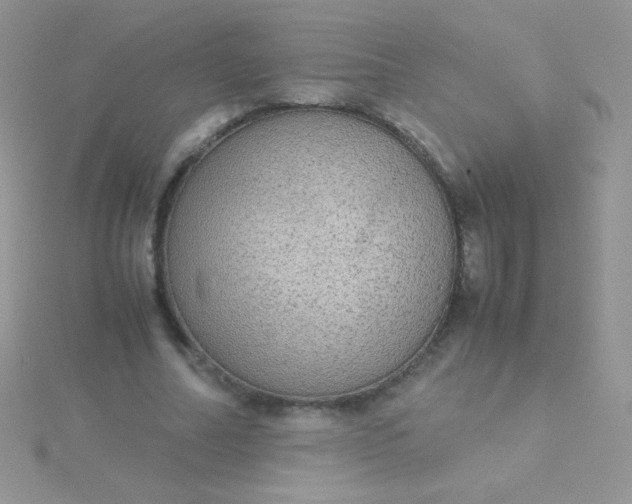 X0000115580682200911241513