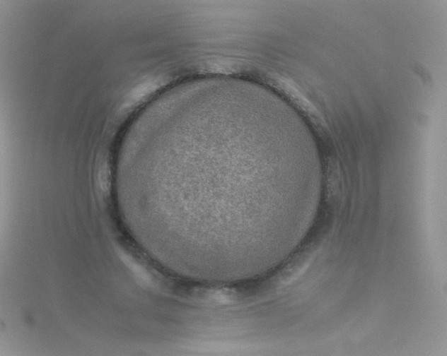 X0000115580683200911241513