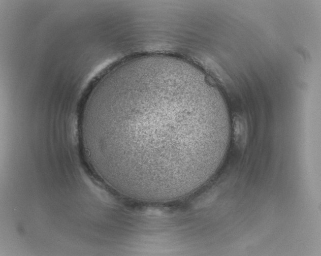 X0000115580684200911241513