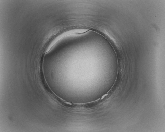 X0000115580685200911241513