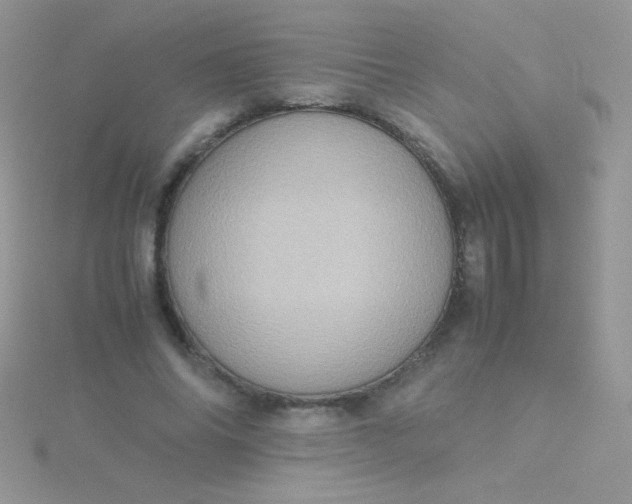 X0000115580686200911241513