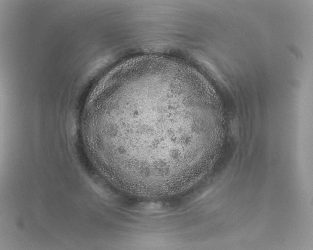 X0000115580687200911241513