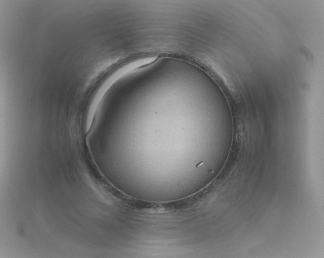 X0000115580688200911241513