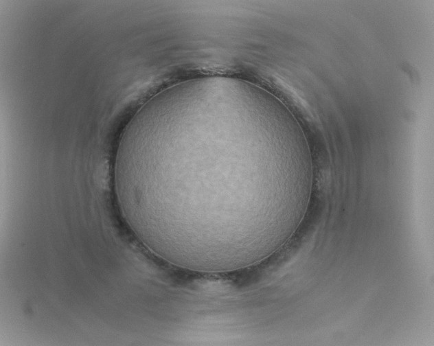 X0000115580689200911241513