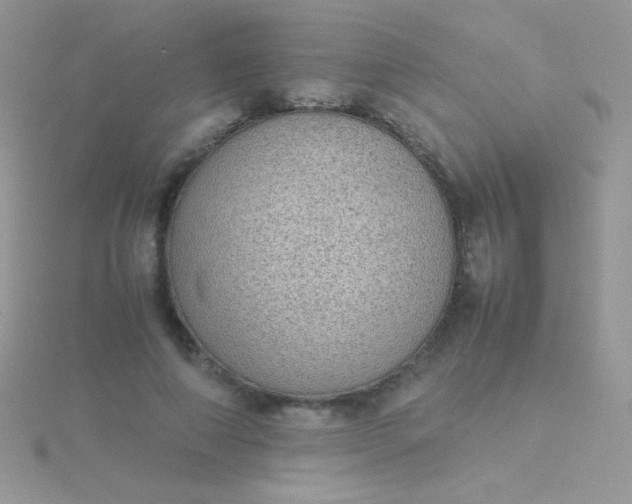 X0000115580690200911241513