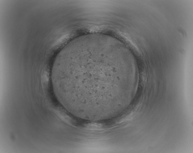 X0000115580691200911241513