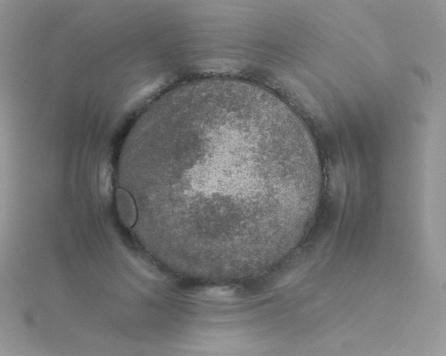 X0000115580692200911241513