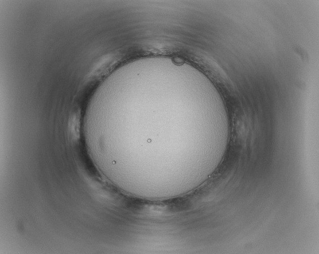 X0000115580694200911241513