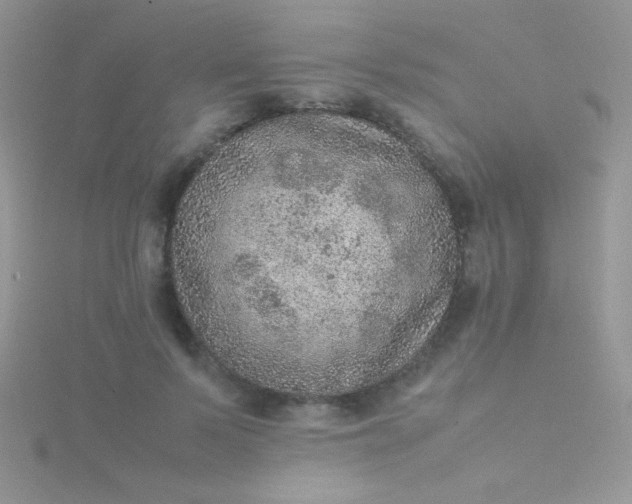 X0000115580695200911241513