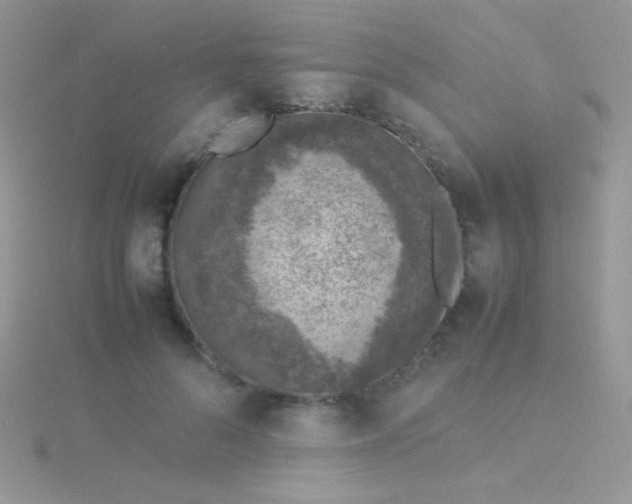 X0000115580696200911241513