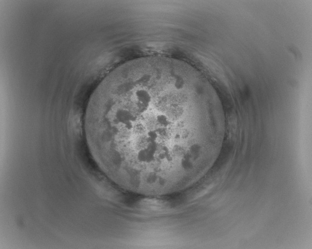 X0000115580699200911241513