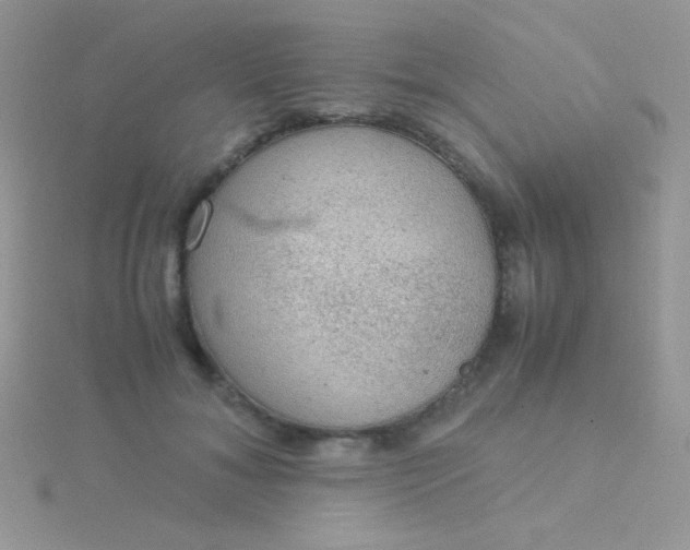 X0000115580700200911241513