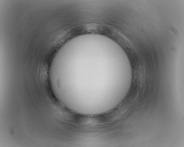 X0000115580702200911241513